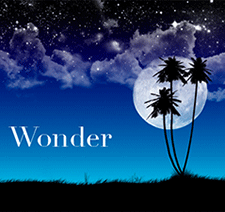 4Wonder-WebArchives.gif
