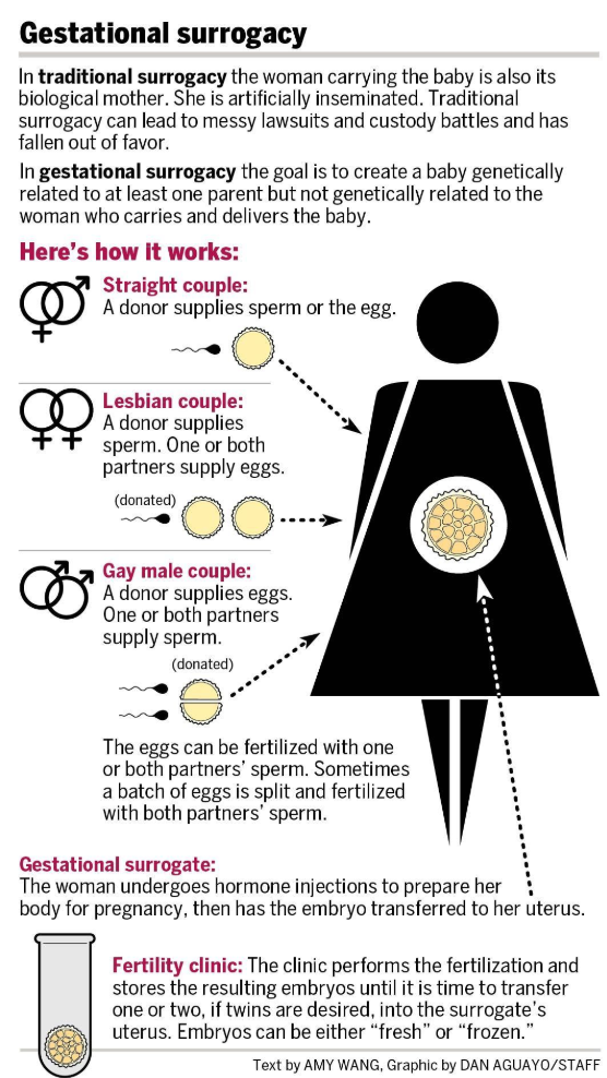 GS.00037065A_IT.SURROGACY