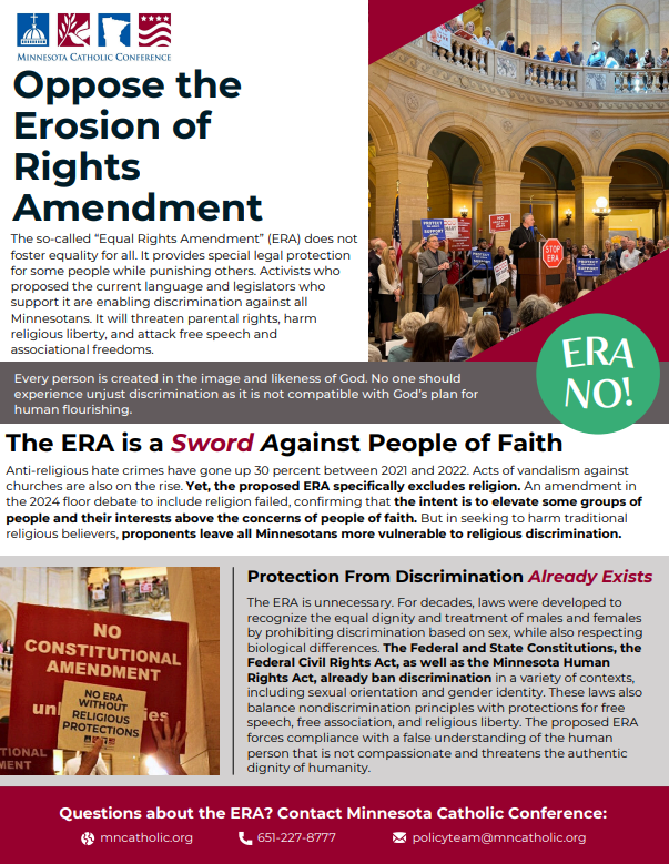 Equal Rights Amendment One-Pager