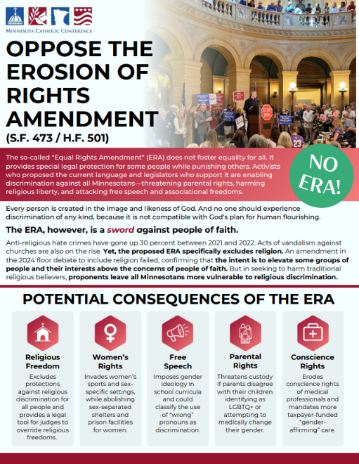 Equal Rights Amendment One-Pager