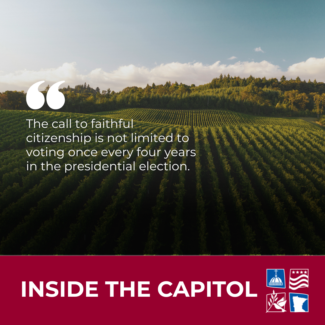 Your corner of the vineyard: Two ways to get involved in local politics