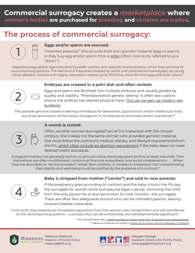 Surrogacy Cost and Process Breakdown