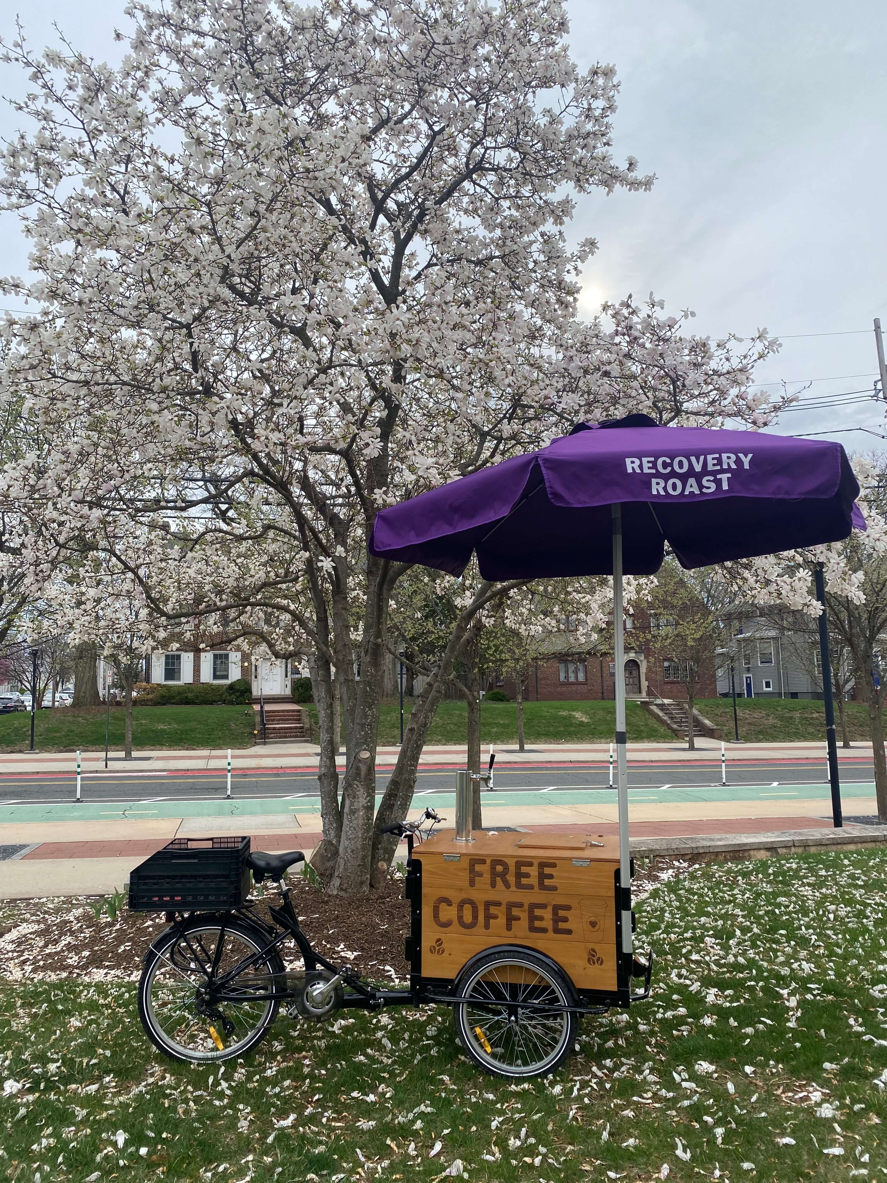 The Vicious Cycle in spring