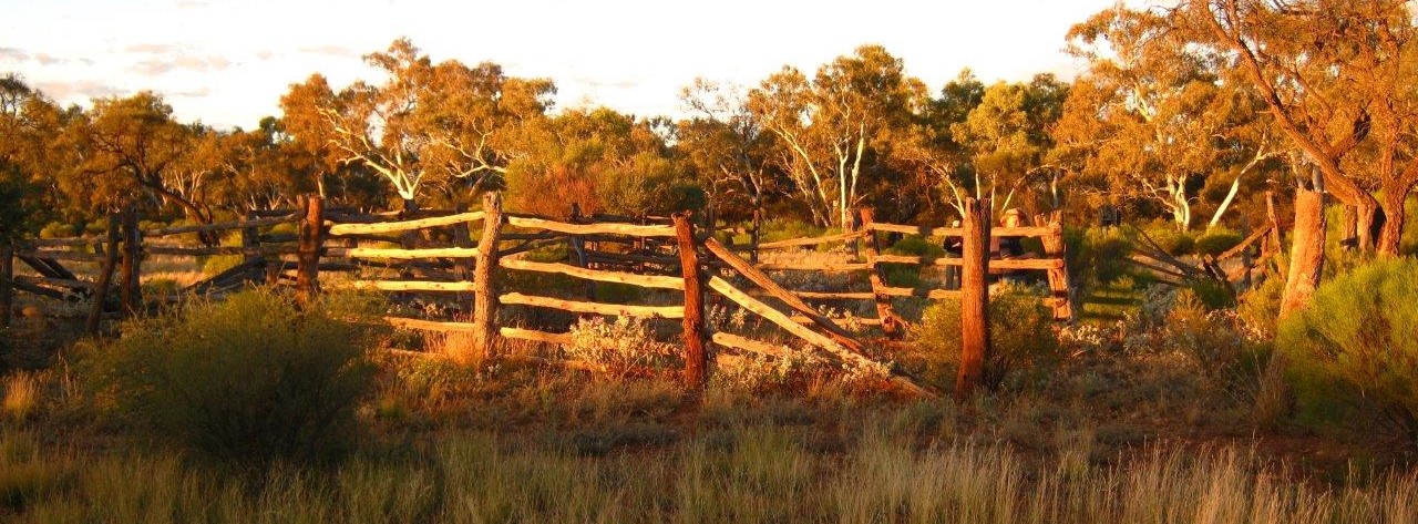 Auditor General report reveals Outback WA let down by years of policy failure