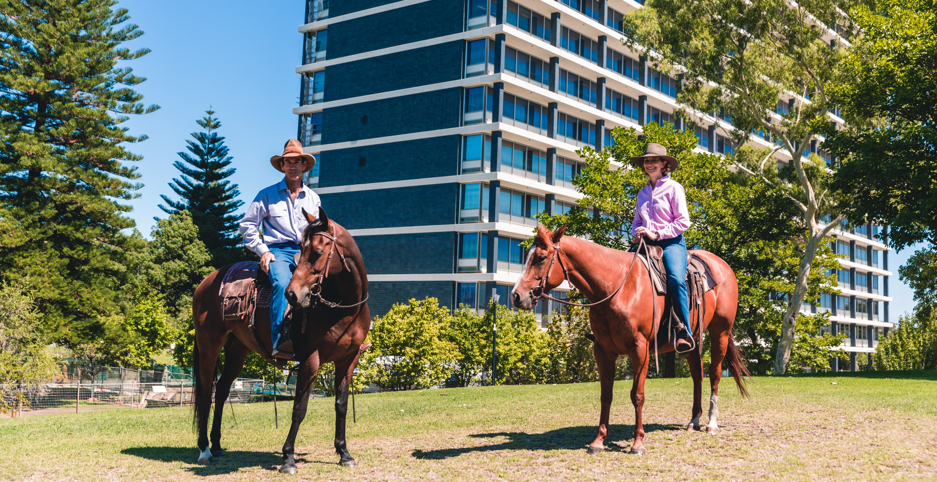 On horseback to the heart of government
