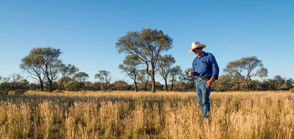 Great news for WA pastoralists with carbon farming windfall