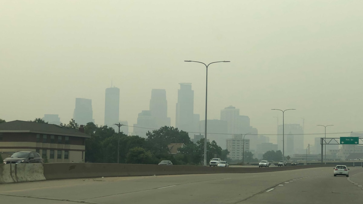 Traffic pollution has severe impacts on human health.