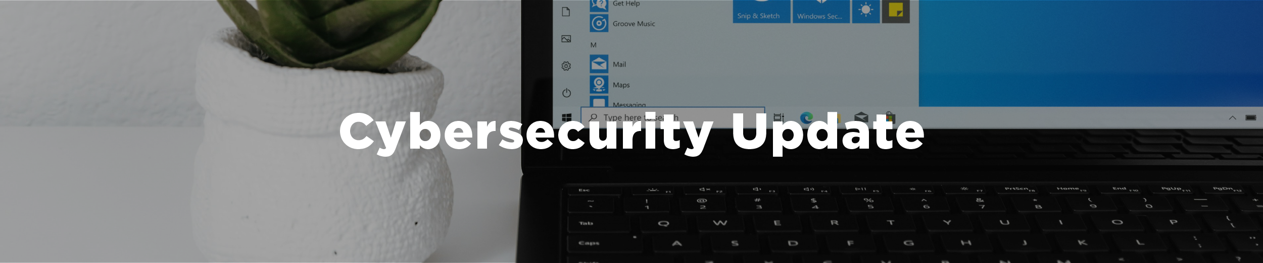 A Microsoft computer on a generic open page beside a small potted succulent with the overlaid text "cybersecurity update"