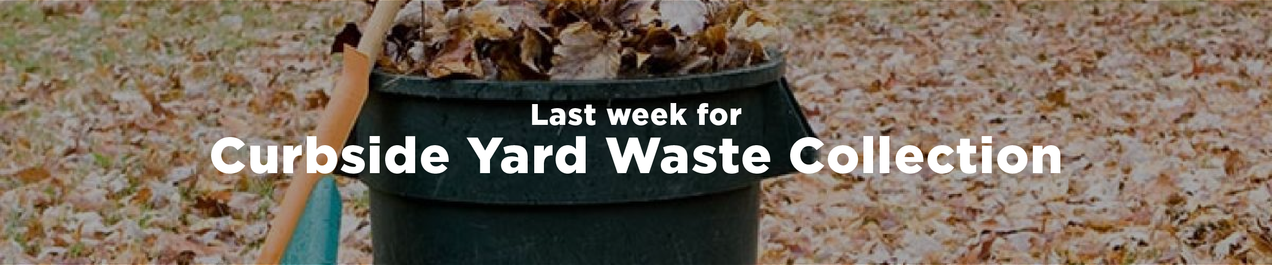 A City of Hamilton bin filled with fall leaves and a rake perched beside it with some leaves still scattered around and the overlaid text "Last Week for Curbside Yard Waste Collection"