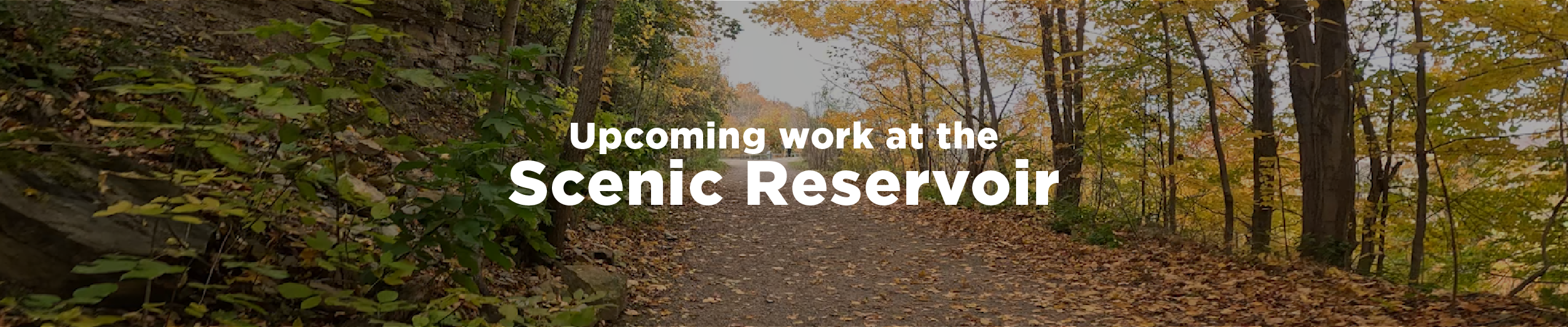 The Radial Trail in the fall as the leaves begin changing colour and the days get more overcast with the overlaid text "Upcoming work at the Scenic Reservoir"