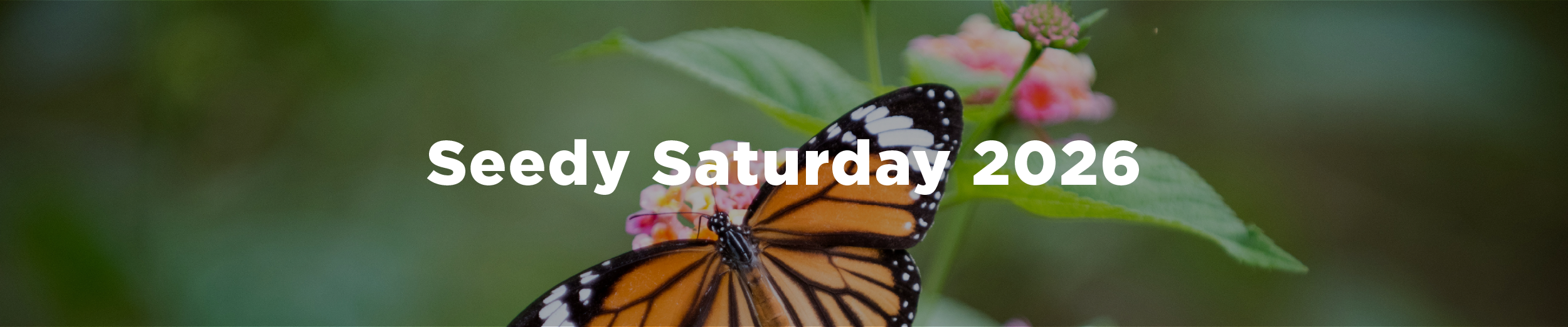 Image of a monarch butterfly on a bright and colourful pink flower with the overlaid text "Seedy Saturday 2026"