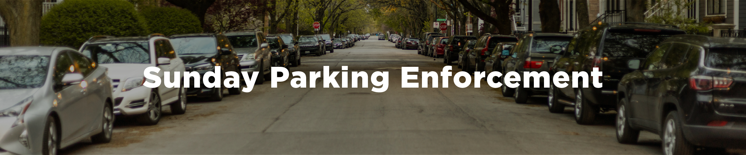 Rows of cars parked along a tree-lined street in the summer with the overlaid text "Sunday Parking Enforcement"