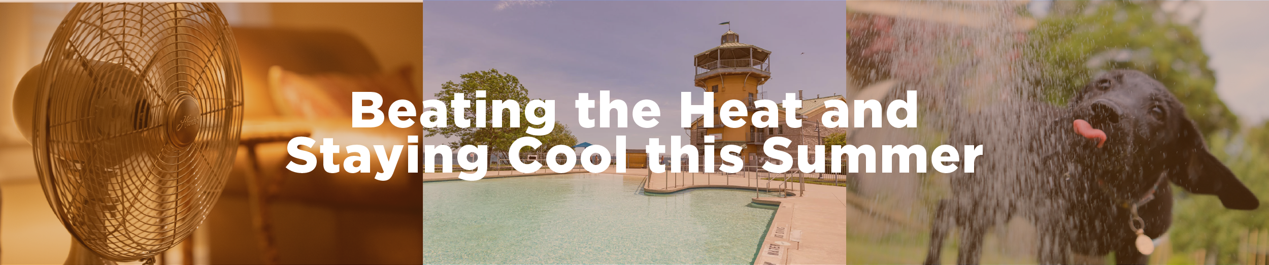 An image of a desk rotating fan, the Van Wagner's beach pool, and a puppy playing in a sprinkler with the overlaid text "Beating the Heat and Staying Cool this Summer"