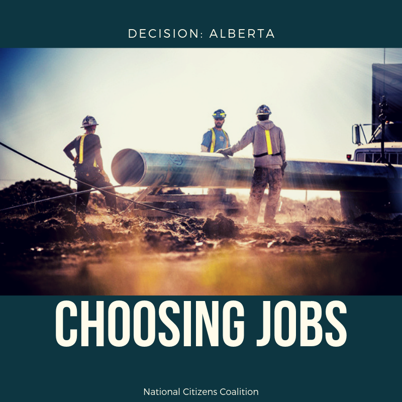Decision Alberta: Choosing Jobs
