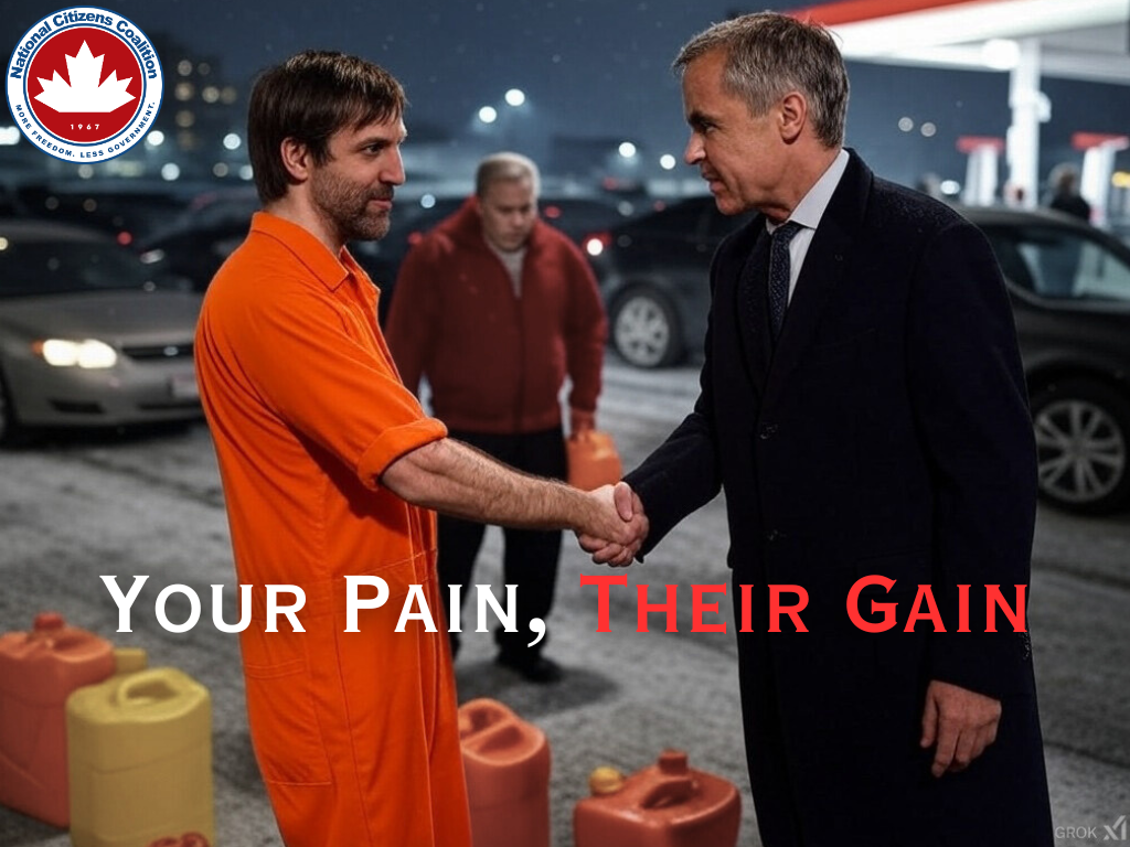 He_Didn’t_Come_Back_For_You_(2).png
