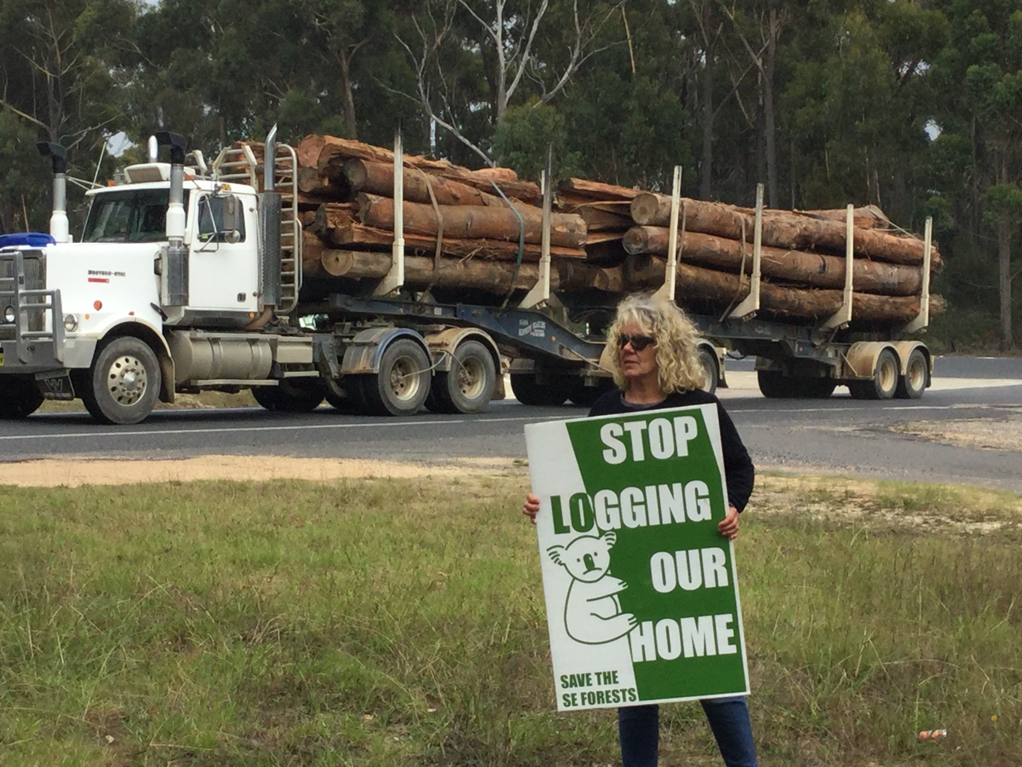 SERCA protest outside Eden woodchip mill