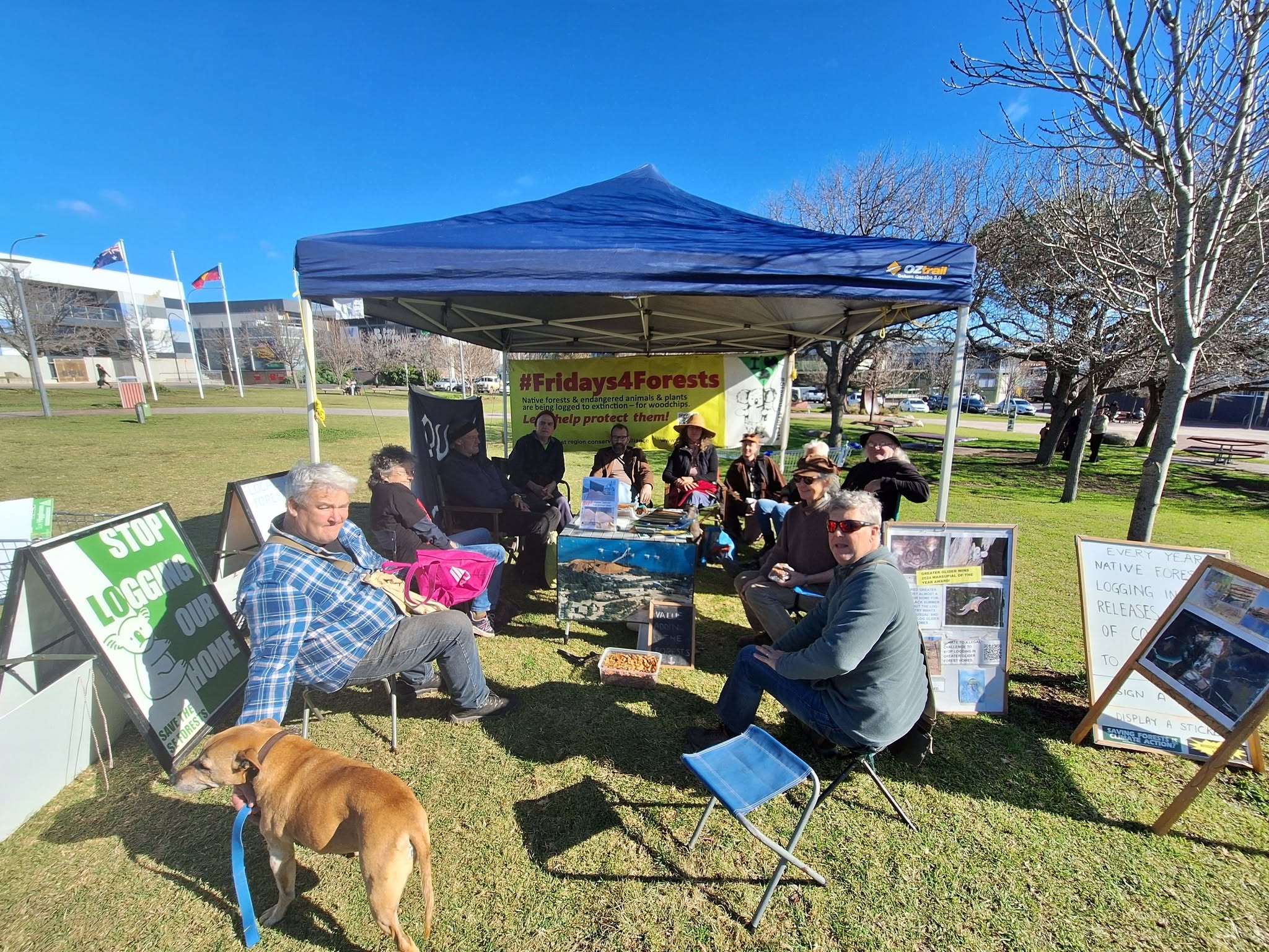 Fridays4Forests-stall.jpg