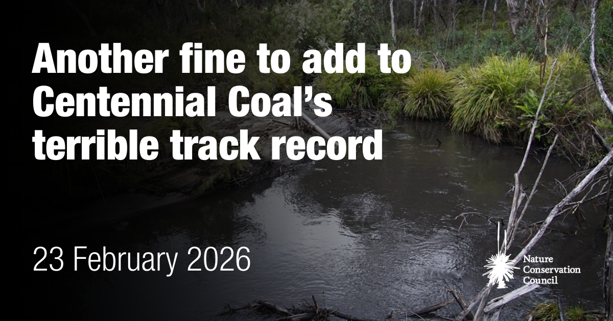 Proteins Organize For Extracellular Electron Transfer