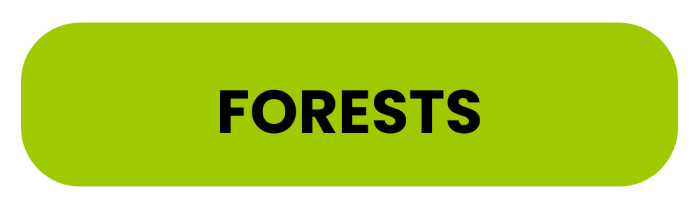 Forests