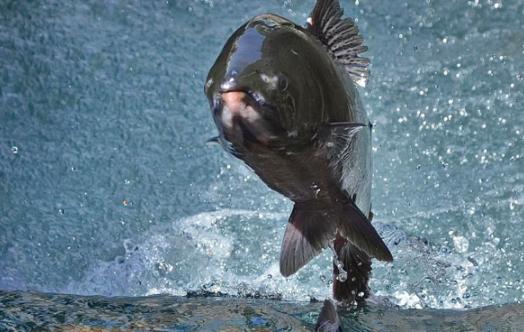 For Farmers & Nurseries