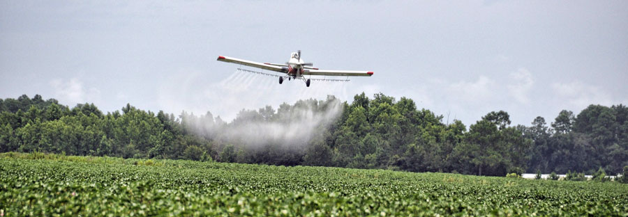 Airplane spraying over field of crops