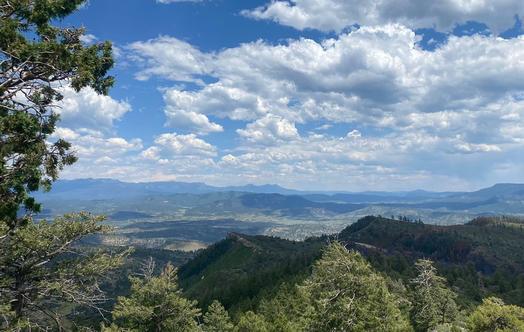 Pest & Weed Management Consultation