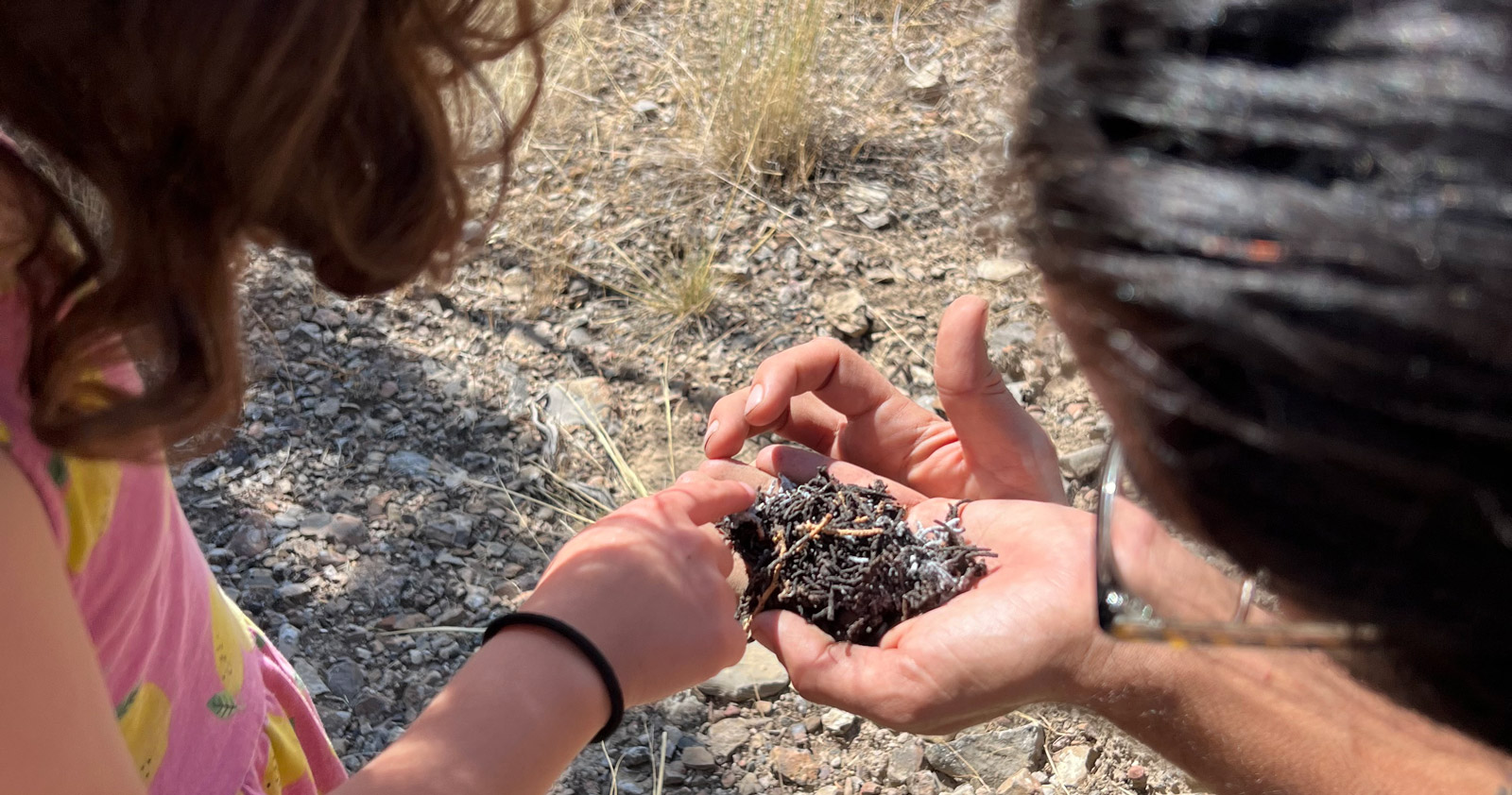 Impact report header, image shows a man with his hand full of soil teaching a young girl.