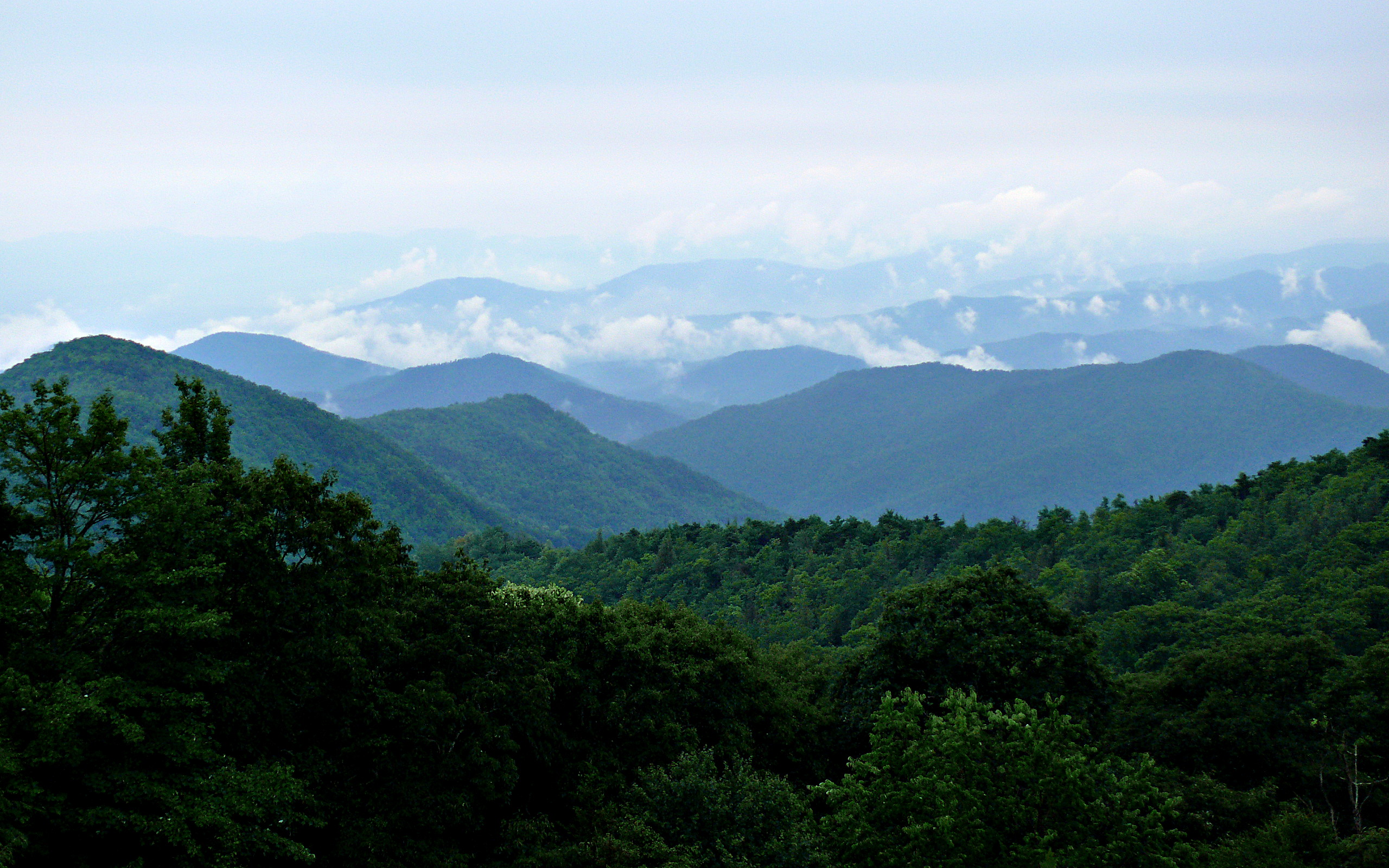 Background Photo