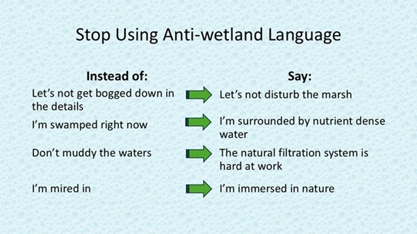 Stop Using Anti-wetlands Language