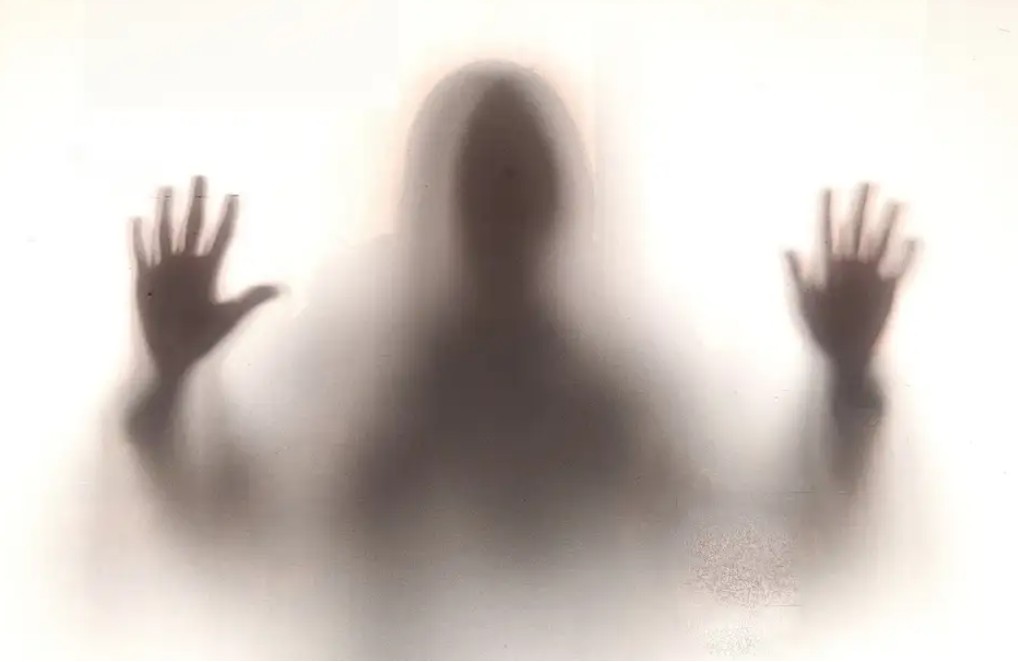 Inside the Glass Cage - image depicting woman behind glass