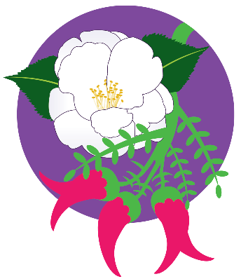 Voices for Pay Equity logo