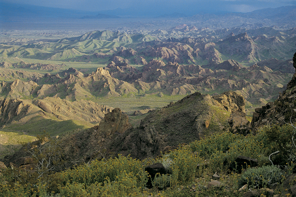 eldorado_green_hbooth.jpg