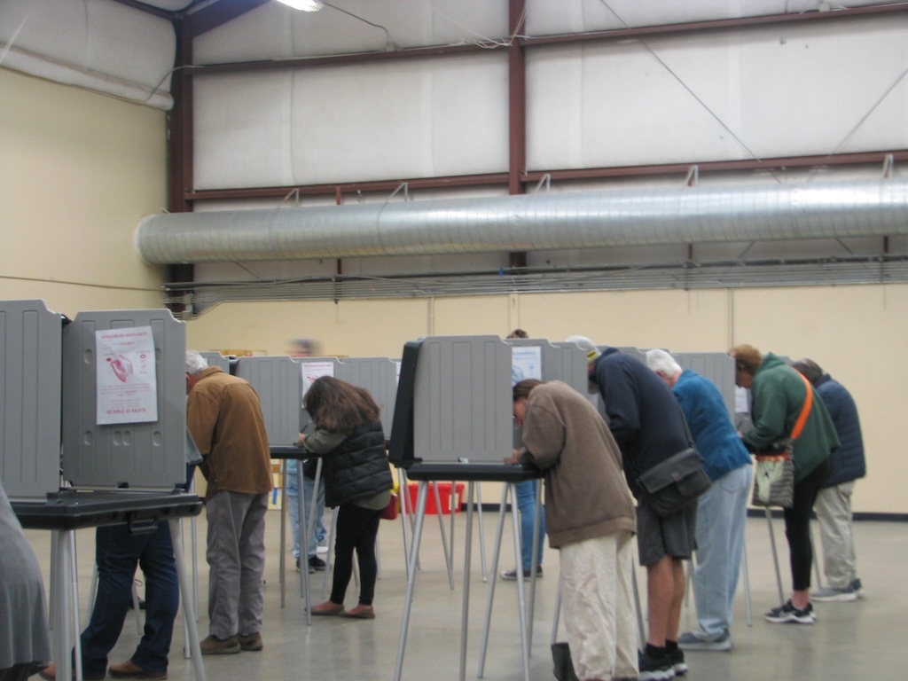 Semi-Open Primaries Info Missing From Most NM County Clerk Websites