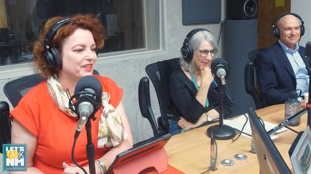 Bob Perls on KUNM Let's Talk NM: Are We Red, Blue, or Purple?