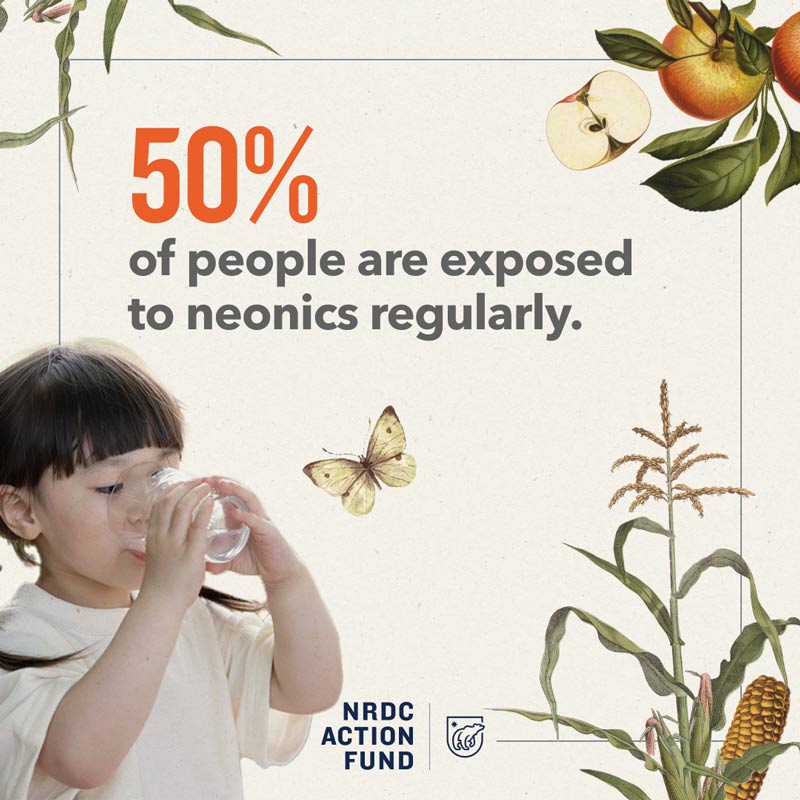 50% of people are exposed to neonics regularly