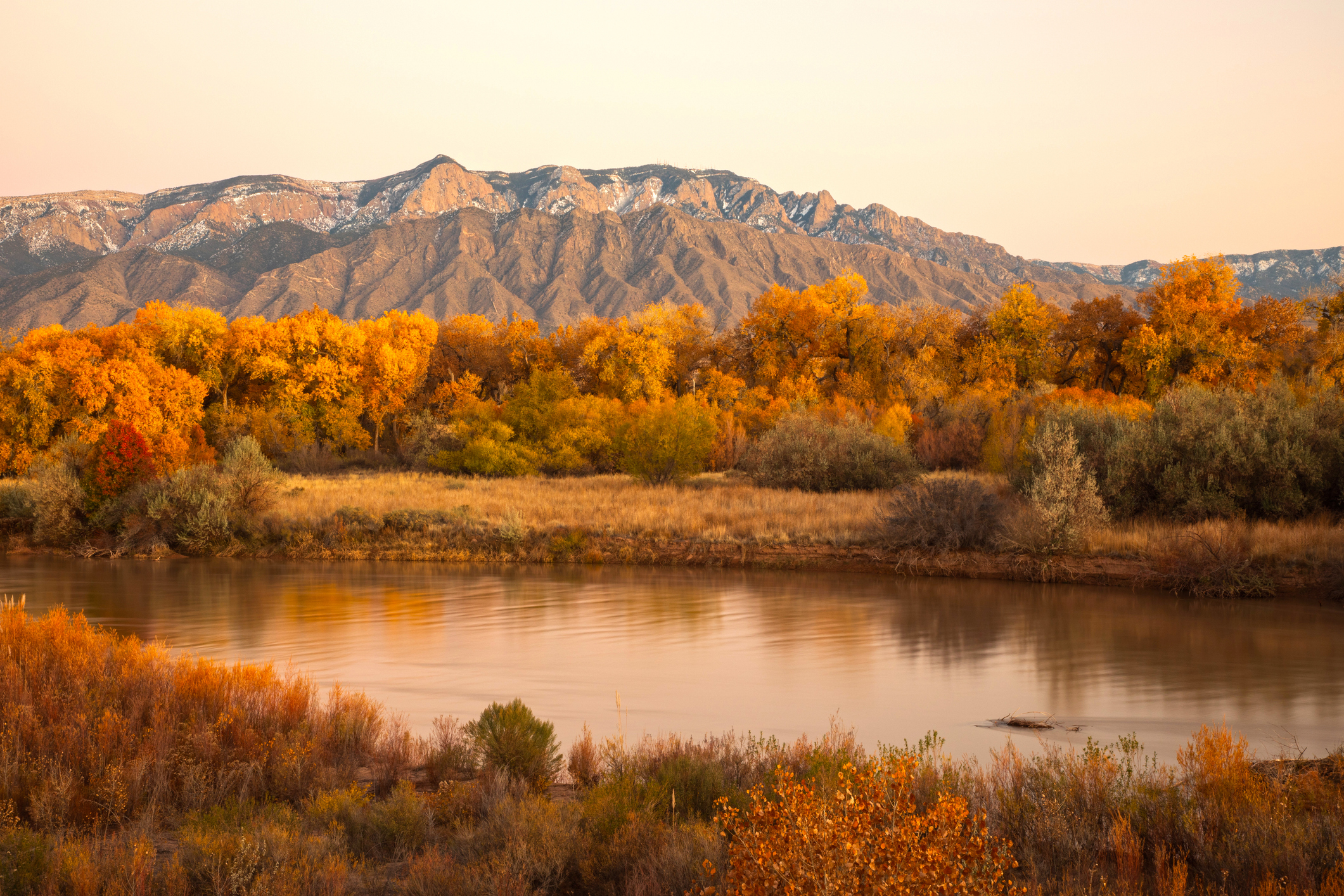 Environmental Stewardship