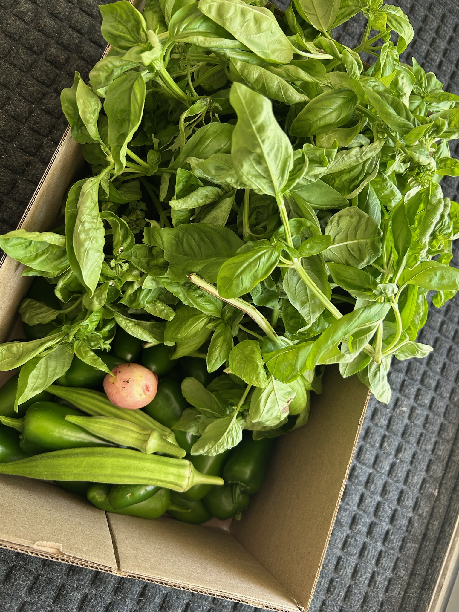 Produce from our garden