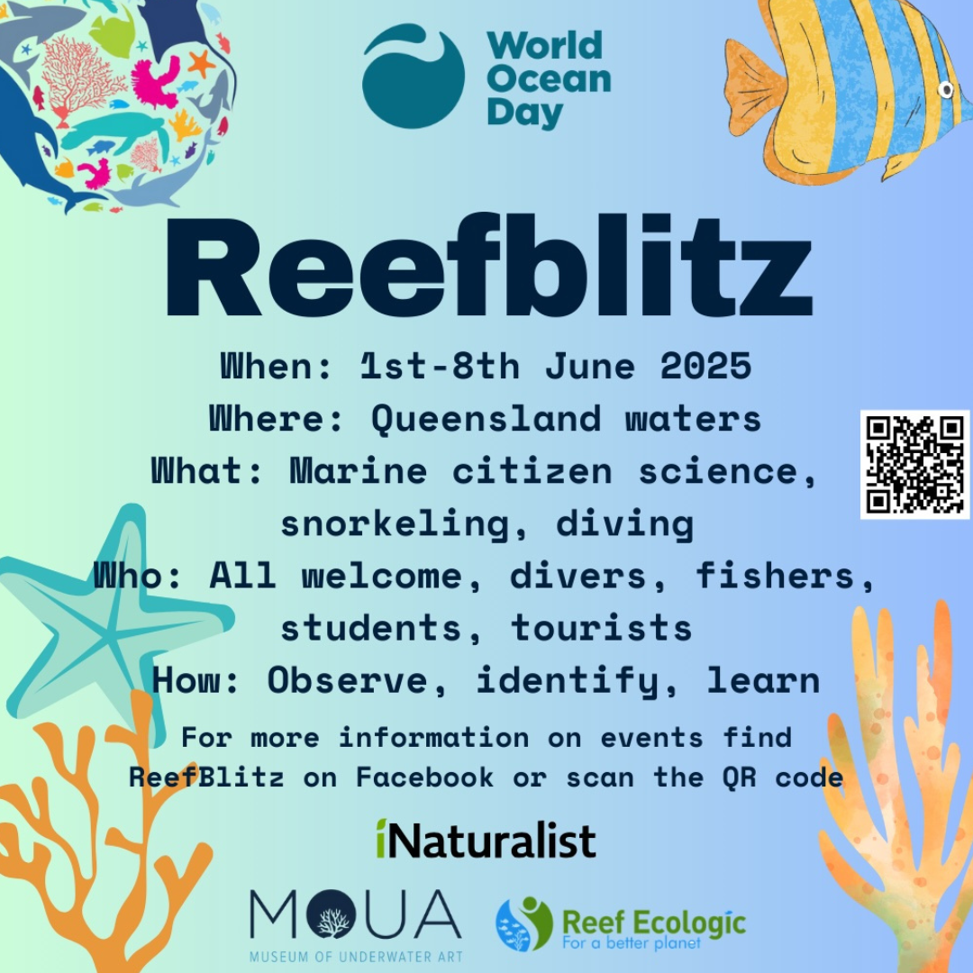 Reefblitz tile