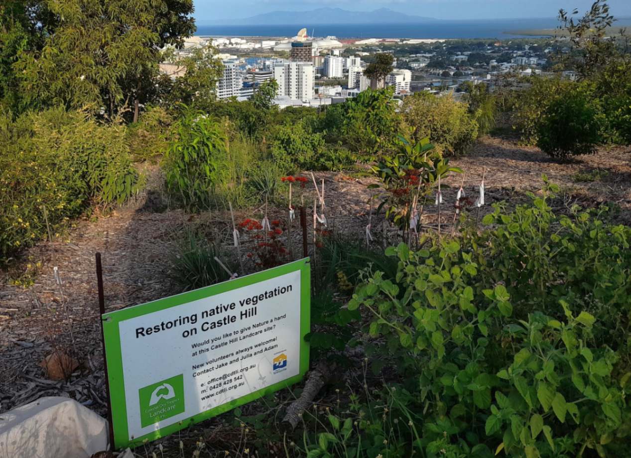 Castle Hill Landcare Site