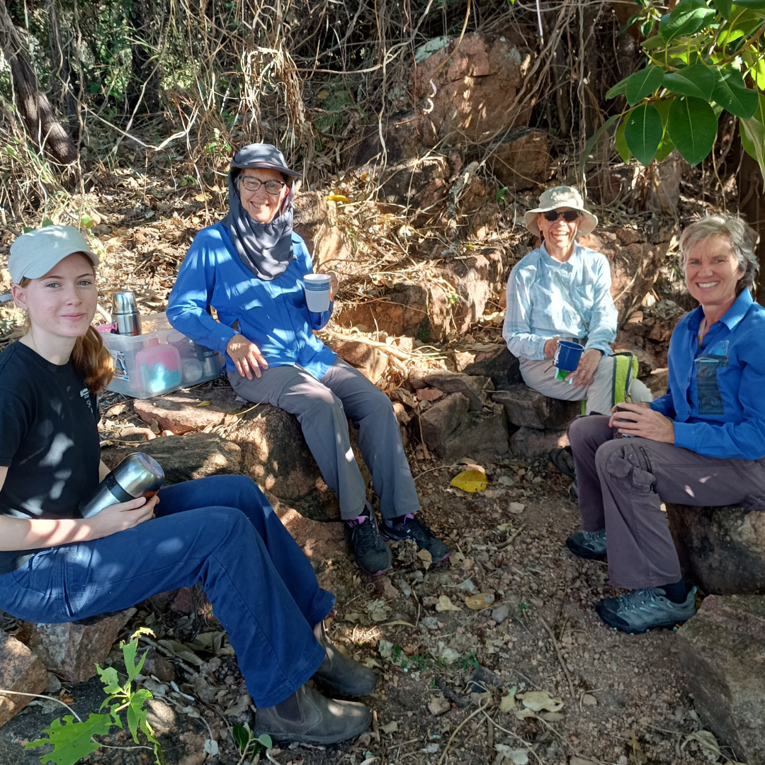 Landcare Volunteers at Castle Hill