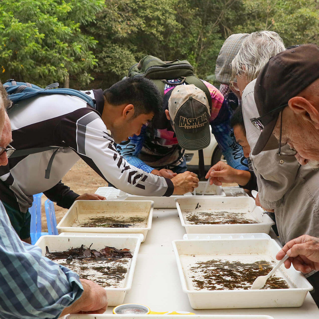 Group doing monitoring
