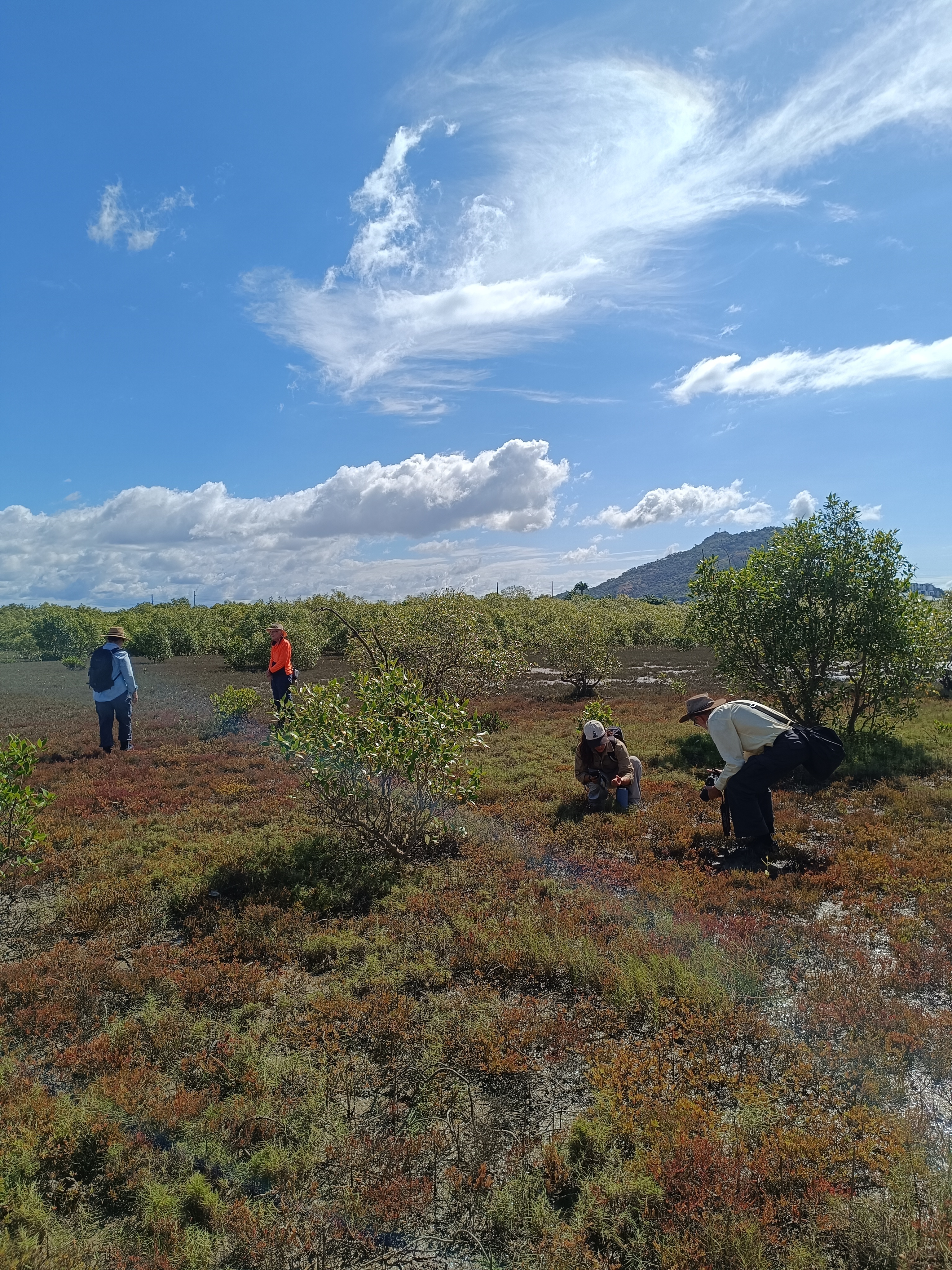 AIMS Reef Report Screenshot