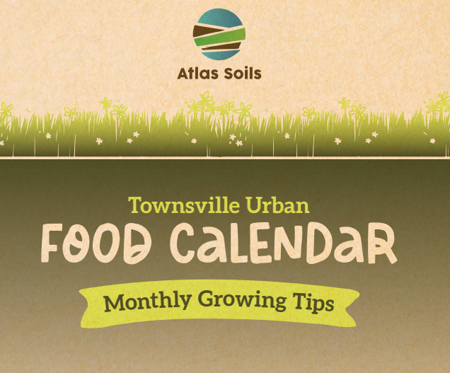 AIMS Reef Report Screenshot