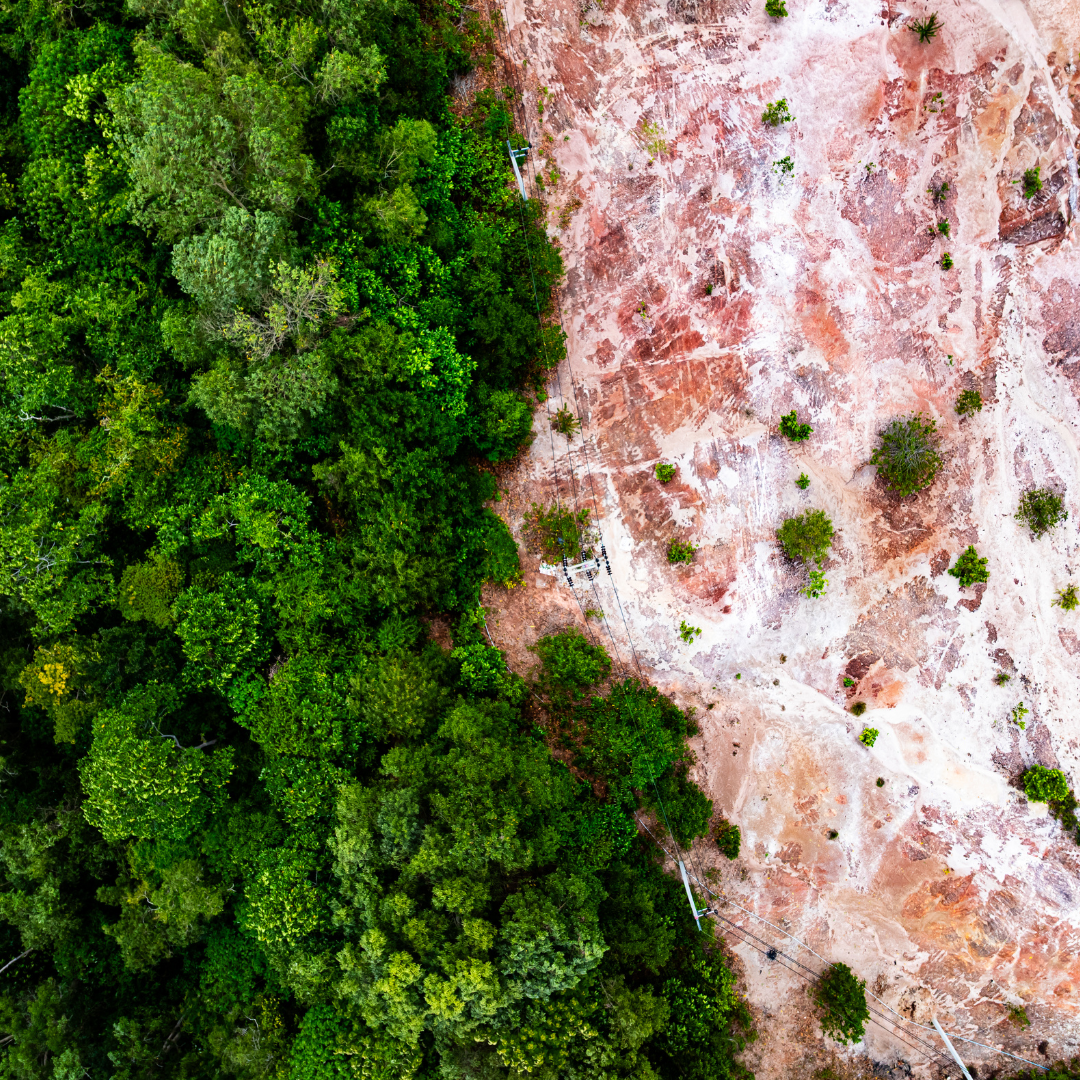 Picture of deforestation