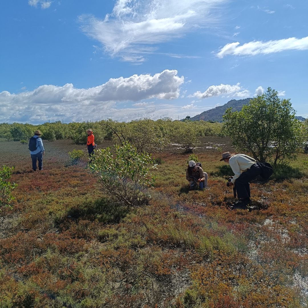 Group doing monitoring