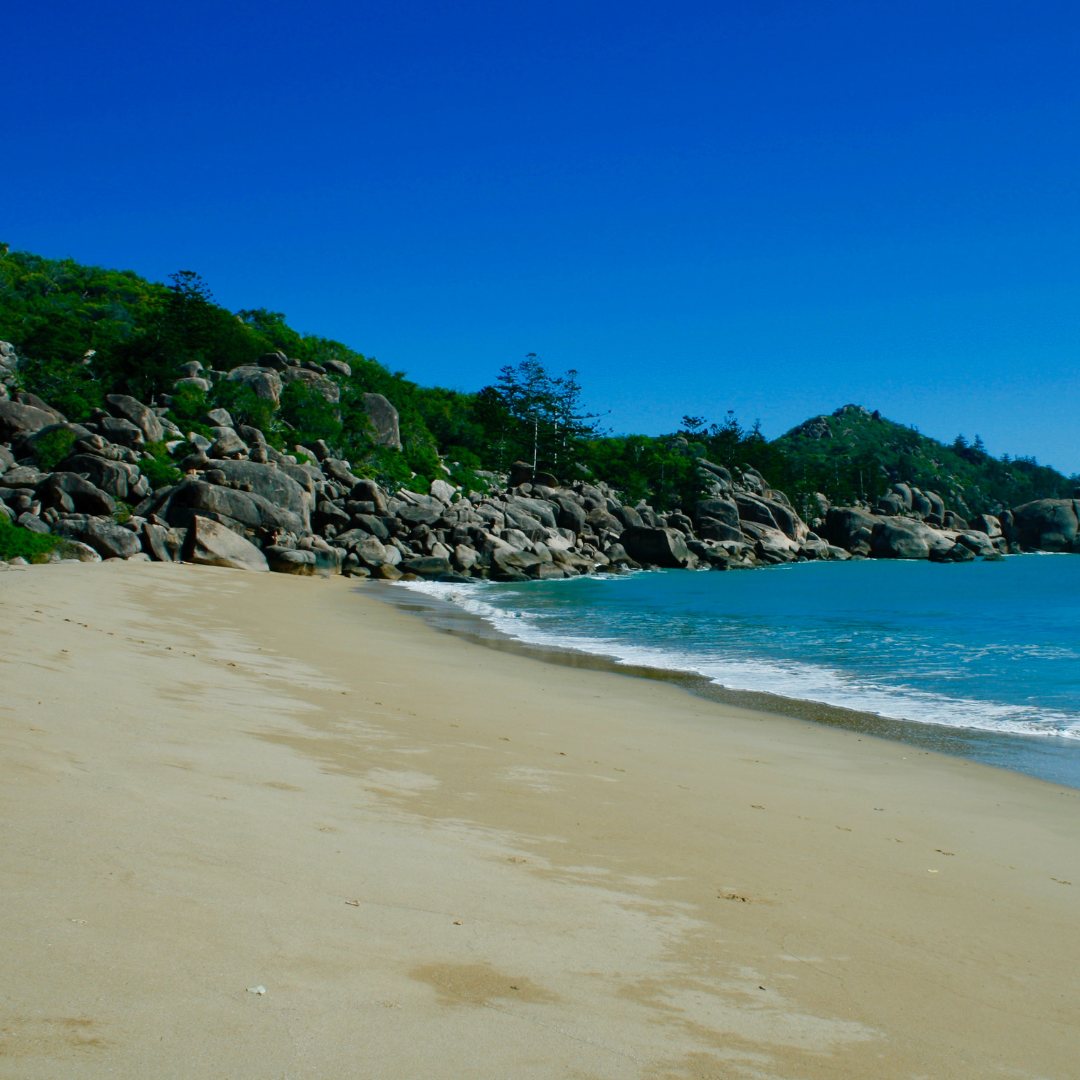 Radical Bay, Yunbenun