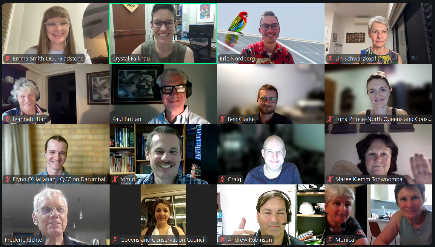 Screenshot of online workshop participants