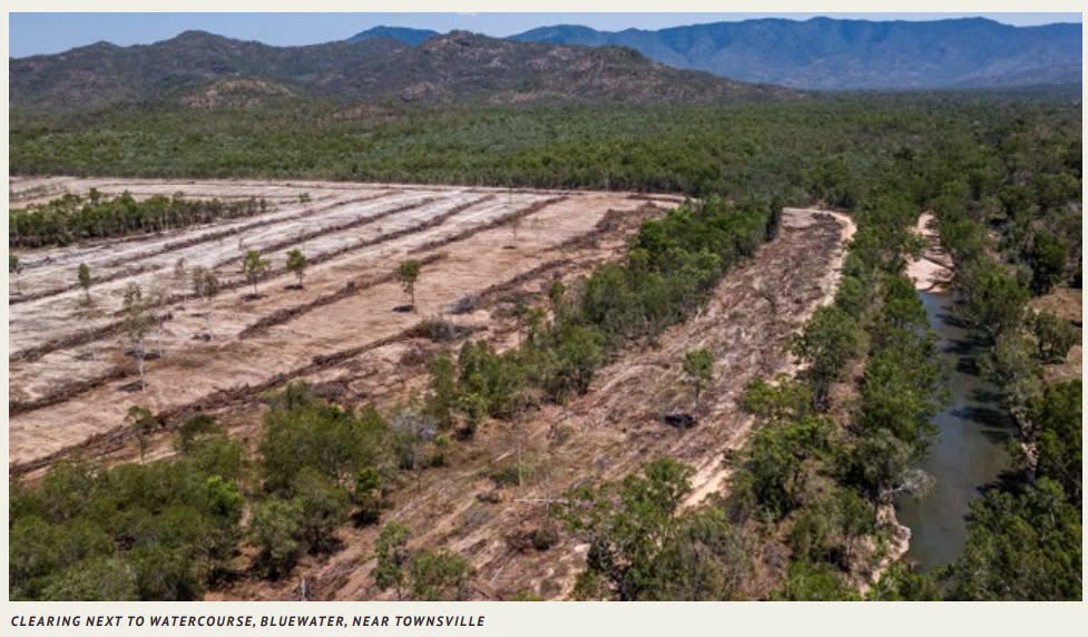 Deforestation in Bluewater, North Qld
