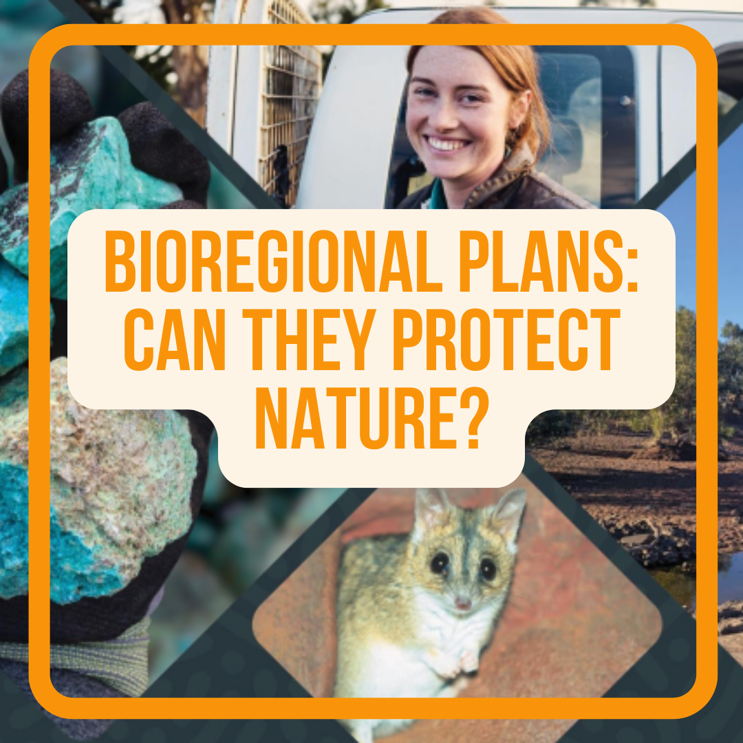 Bioregional plans: can they protect nature?