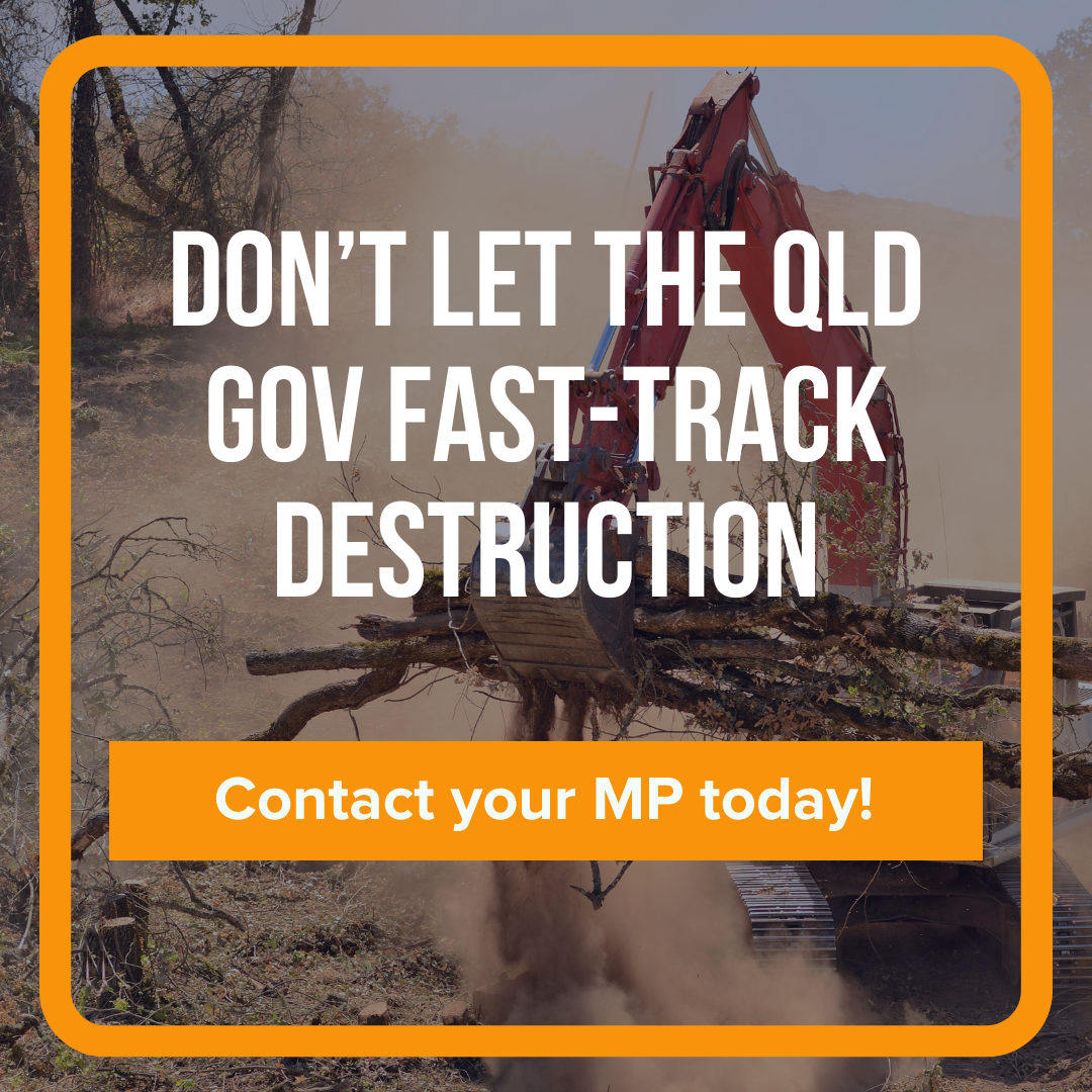 Don't let the Qld Gov fast-track destruction - email your MP today!
